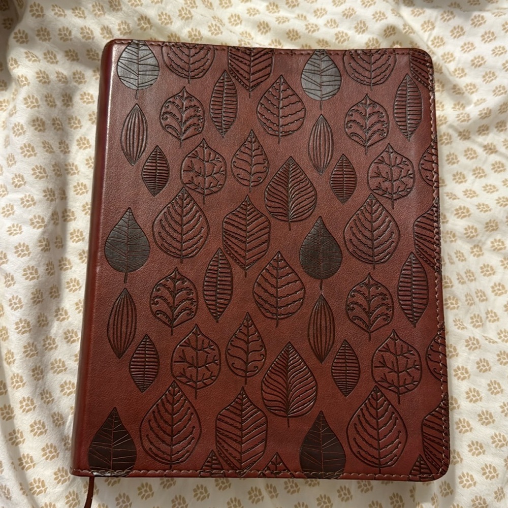 ESV single column journaling bible